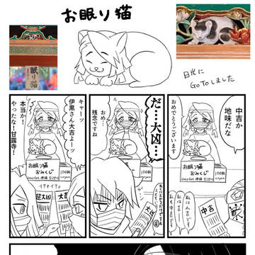 日光のお眠り猫