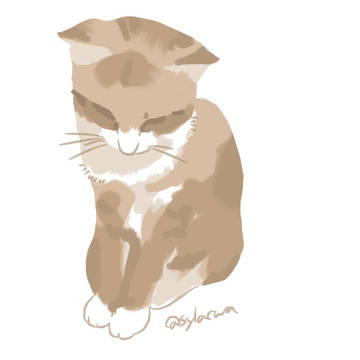 猫を描く