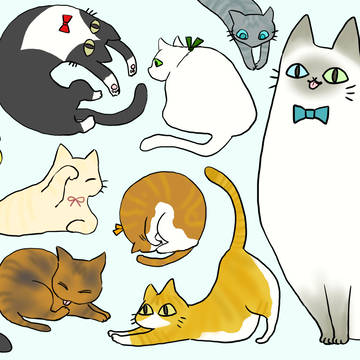 ねこねこねこ
