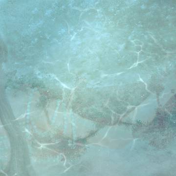 Andromeda/アンドロメダ