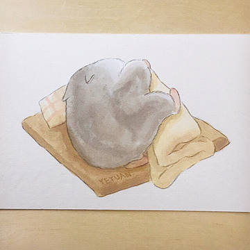 安心感いっぱい