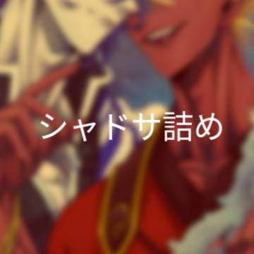 シャドサ詰め