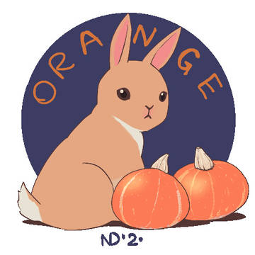 Pumpkin Season - Orange