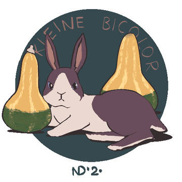 Pumpkin Season: Kleine Bi-color