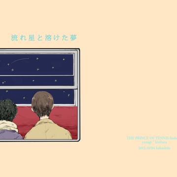 【web再録】流れ星と溶けた夢