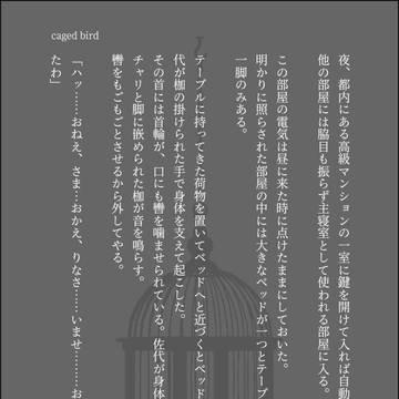 SS画像作品まとめ2