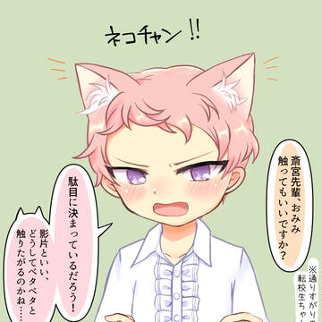 ねこねこしゅ～くん