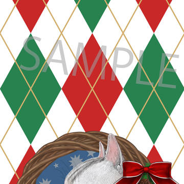 クリスマスリースと猫