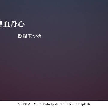 玉夢SS