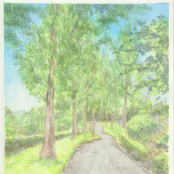 公園の並木