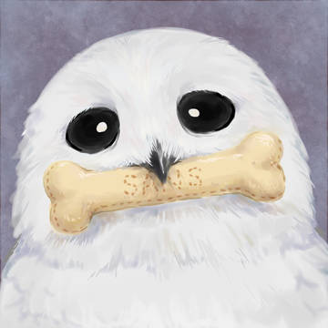 ふくろうさんず