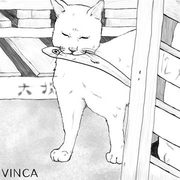 猫と魚