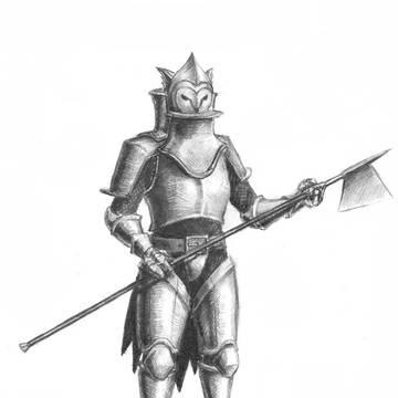 Knight owl