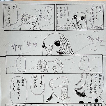 ピースケ×ファイブスター物語⑧