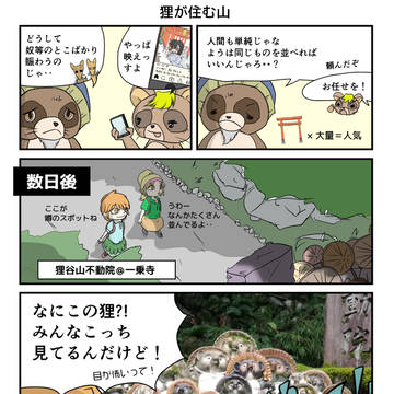 京都洛北ラブ＆ピース８「狸が住む山」
