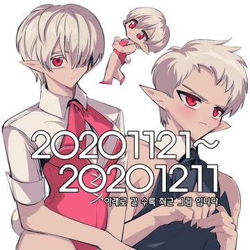 20201121~20201211