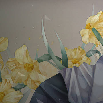 Narcissus  Jonquilla