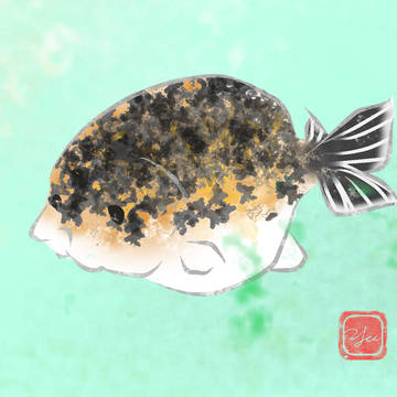Messypig the Ranchu