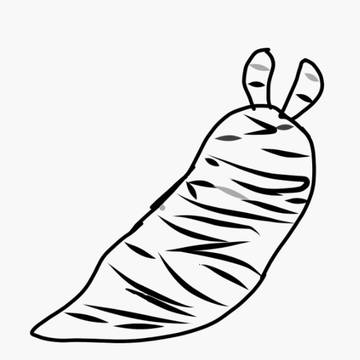 サバンナシマシマオオナメクジ
