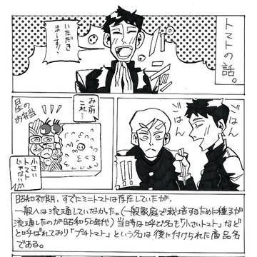 トマトの話。