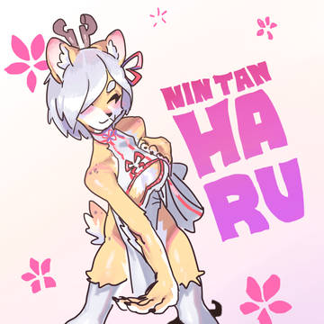 NinTan HaRu