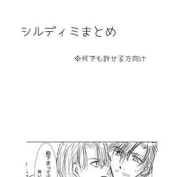 シルディミまとめ①