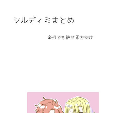 シルディミまとめ②