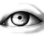 A left eye