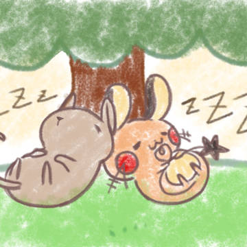 ディッキーTV