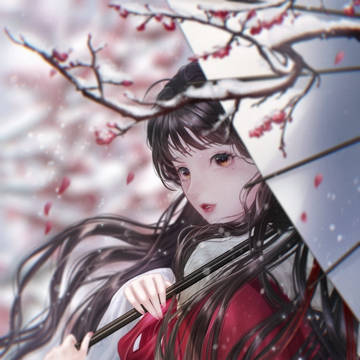 梅花雪