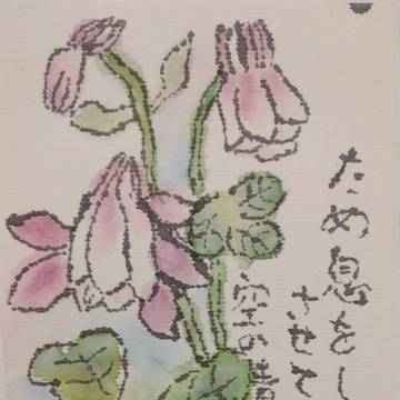 絵はがき⑧