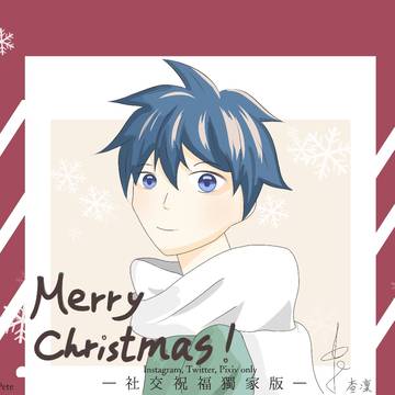 メリークリスマス(｡･ω･｡)ﾉ♡