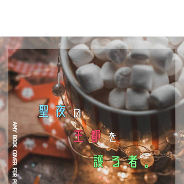 聖夜の王都を護る者。