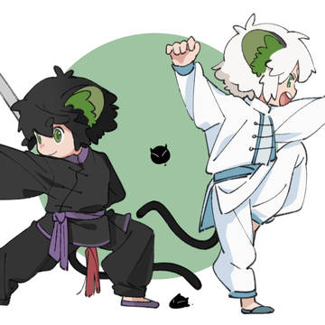 双黑
