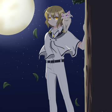月夜の視察