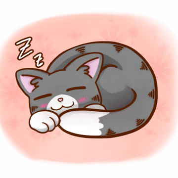 Sleepy cat