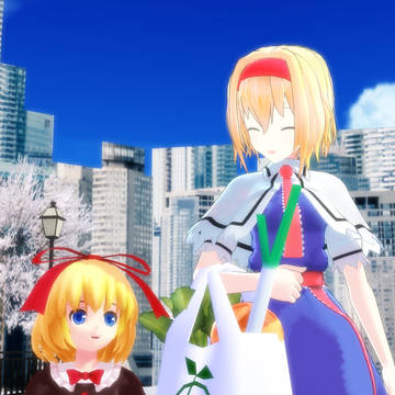 年末の買い出し