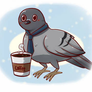 Morning pigeon