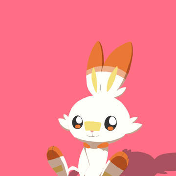 一番好きなポケモンはヒバニー
