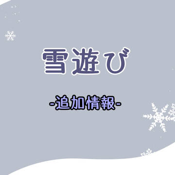 【ポケヒロ】ポール　追加情報【雪遊び】