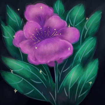 练习