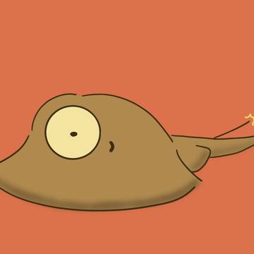 アカエイ