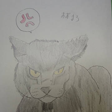 狂暴灰色猫 すずまろ