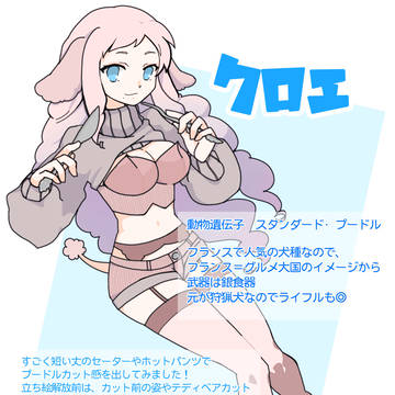 スタンダードプードルのクロエ