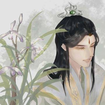 兰花味的大师兄