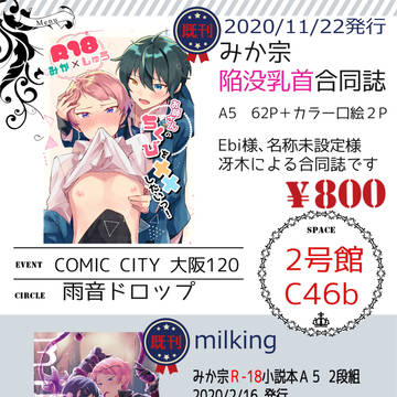 【みか宗】1/10冬インテおしながき