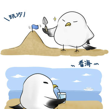 seagull_SaSa