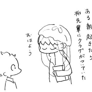 クラゲと柳と赤也