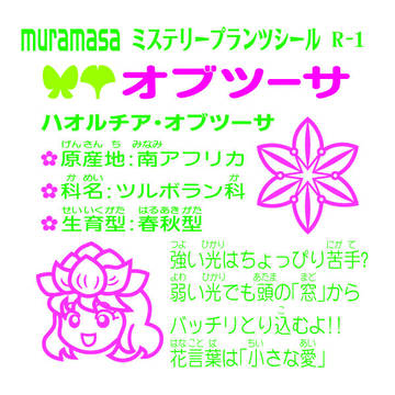 ミステリープランツシールの裏面の一例