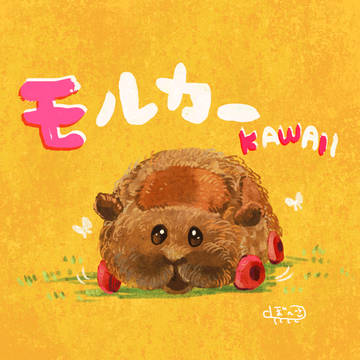 モルカーまとめ